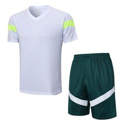 Conjunto Treino Camisa + Short Palmeiras 23/24 - B... - GOAT SPORTS