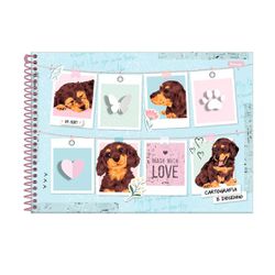 Caderno de Cartografia Smoogies da Foroni - BAIUCA