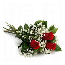 Buquê de 3 Rosas Vermelhas - 3364 - Bellas Cestas Online Salvador