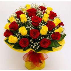 Buque com 20 Rosas Vemelhas e Amarelas - 1013 - Bellas Cestas Online Salvador