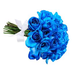 Buquê de 24 Rosas Azuis - 9140700 - Bellas Cestas Online Salvador