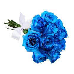 Buquê de 12 Rosas Azuis - 932723 - Bellas Cestas Online Salvador