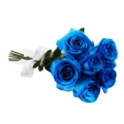 Buque Com 6 - Rosas Azuis - 9140709 - Bellas Cestas Online Salvador
