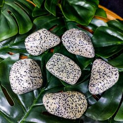 Jaspe Dalmata Rolada 3/6 - BEM ME QUER ZEN