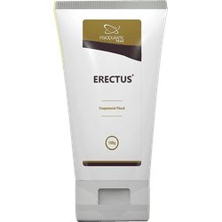 Erectus Men Gel 100g Fisioquantic - BEM ME QUER ZEN