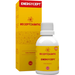 Energycept Receptquantic 50ml Fisioquantic - BEM ME QUER ZEN