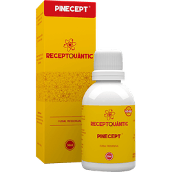 Pinecept Receptquantic 50ml Fisioquantic - BEM ME QUER ZEN