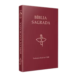 Bíblia CNBB Tradução Oficial CNBB - 6ª Edição - 97... - Benedictus Livraria Católica