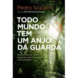 TODO MUNDO TEM UM ANJO DA GUARDA - ENSINAMNETO SOB... - Benedictus Livraria Católica