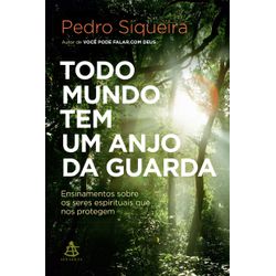Livro : Todo Mundo tem um Anjo da Guarda - Pedro Siqueira - 19758 - Betânia Loja Catolica 