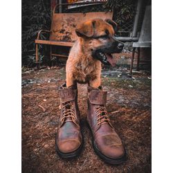 Coturno Cano Alto CANE CORSO - Tabaco