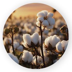 Capa Painel Redondo Decorativo Tema Agro Country F... - Loja | Bibi Painéis