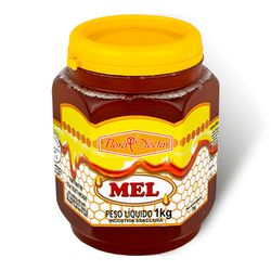 MEL FLORA NECTAR POTE PLASTICO SEXTAVADO1KG - Binuto Alimentos