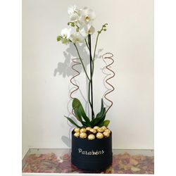 Circle Box Orquídea e Ferrero - Floricultura FLORA BARIGUI