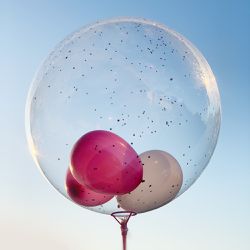 Bubble com gliter - Floricultura FLORA BARIGUI