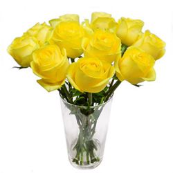 Rosas Amarelas Importadas - Floricultura FLORA BARIGUI