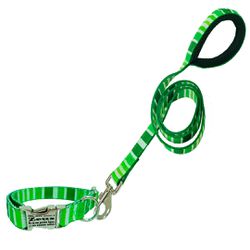 Coleira com guia estampa listras Verde fecho de en... - Brincadeira Animal