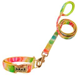 Coleira com guia estampa tie dye com fecho de enga... - Brincadeira Animal