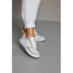 Tênis Detalhado EC621DJ_3311- Branco/ Cinza - 3311 - Karina Bertozi Calçados Femininos