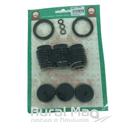 REPARO DA BOMBA KO 3PV 17066800 - Loja do Cafeicultor