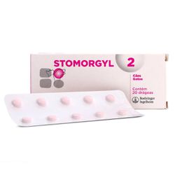 Stomorgyl 2 Caixa 20 Comprimidos - Casa Anzai