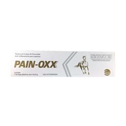 Pain-oxx - 1 Seringa De 14,64 Gr - Casa Anzai