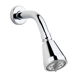 Chuveiro De Parede Mandachuva Light Cromado 1993-L... - Casa Anzai