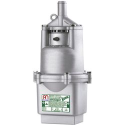 BOMBA ANAUGER ECCO 220V - AGRICOLA - Casa Anzai
