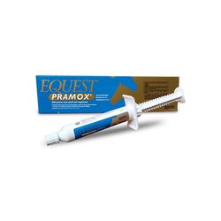 Equest Pramox Vermifugo Oral Equinos Zoetis Gel 11... - Casa Anzai