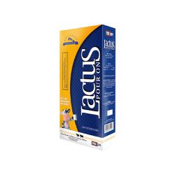 LACTUS POUR ON 1000 ML - Casa Anzai