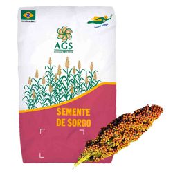 SEMENTE SUPER SORGO FORRAGEIRO SACO 6KG AGRO SENA - Casa Anzai