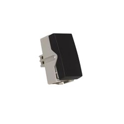 MG MÓDULO INTERRUPTOR PARALELO 10A-250V EBONY CLEA... - Casa Anzai