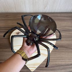 Bandeja Aranha Decorativa 23x24cm – Preta Fumê - 2... - CHAMMA FESTA