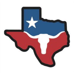Adesivo Bordado para Chapéu auto colante Texas - 2... - CLUB 21 COUNTRY