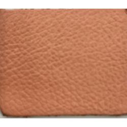 VEST COR LICHA ESP.10/12 - Curtume Toinzinho