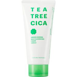 NATURE REPUBLIC OFFICIAL Green Dermatty Tree CICA ... - SKIN BEAUTY ASIAN