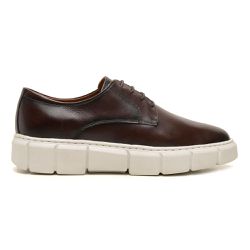 Sapato Damers Oxford Masculino Café - DAMERS