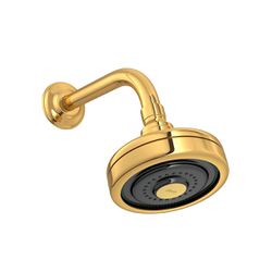 Chuveiro Deca Acqua Plus STANDARD GOLD 1990.GL.STD - Degraus Materiais de Construção
