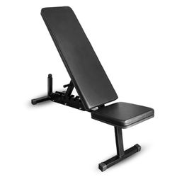 Cadeira Extensora  Equipamentos Line Fitness