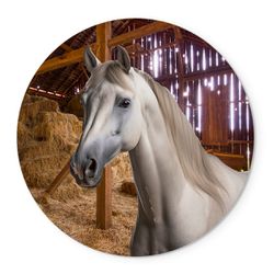 Painel Temático Cavalo Branco Veste Fácil C/ Elástico - 00036666E - ESTAMPARIA NET 
