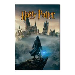Painel Festa Retangular Harry Potter - 0476 - ESTAMPARIA NET 