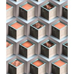 PAPEL DE PAREDE GEOMÉTRICO 0,53X10MT - Fechacom