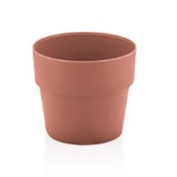 VASO CULTIVAR G TCF - Fechacom
