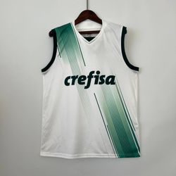 Regata Palmeiras Away 23/24 - 515450 - Tailandesas Atacado