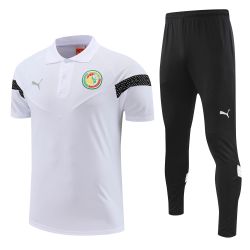 Conjunto Treino Polo Senegal 22/23 Camisa + Calça ... - CATALOGO