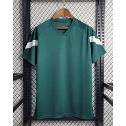 CAMISA PALMEIRAS TREINO 23/24 - TORCEDOR MASCULINA... - Tailandesas Atacado