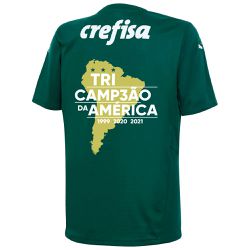 Camisa modelo Palmeiras Tricampeão da América I 21... - CATALOGO