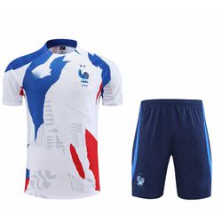Conjunto de Treino Camisa + Short da França Copa 2... - CATALOGO
