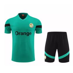 Conjunto de treino Camisa + Short Senegal 23/24 - ... - CATALOGO