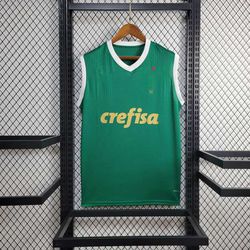 Regata Palmeiras Home 24/25 - Verde - 78977 - Tailandesas Atacado